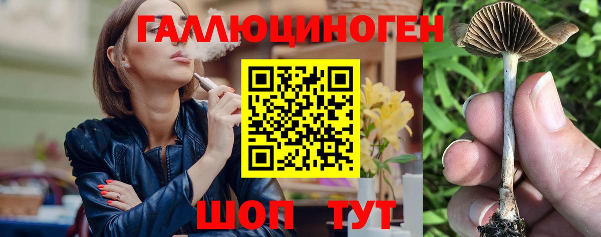 Псилоцибиновые грибы Cubensis Похвистнево