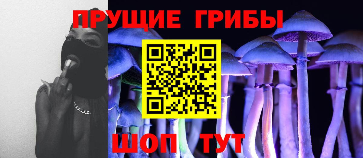 Галлюциногенные грибы MAGIC MUSHROOMS  Вход с VPN  Похвистнево 